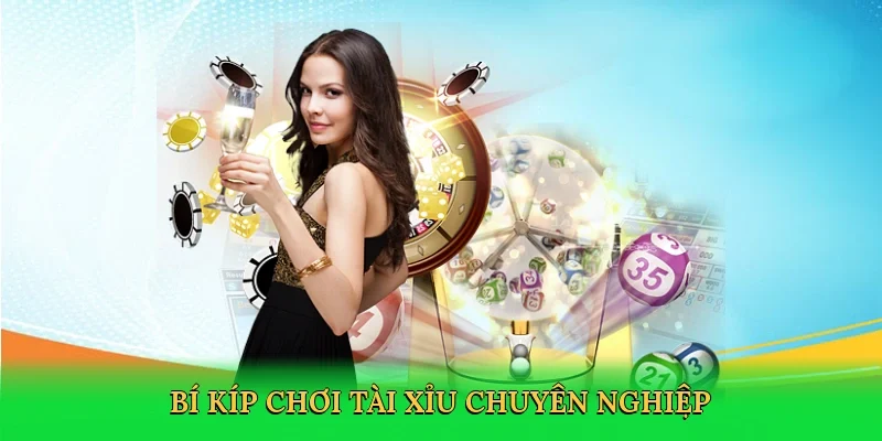 Bí kíp chơi tài xỉu chuyên nghiệp