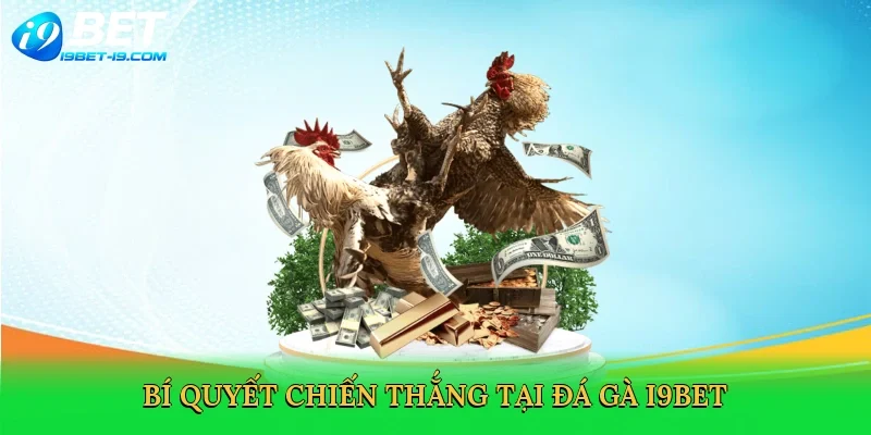 Bí quyết chiến thắng tại đá gà i9bet
