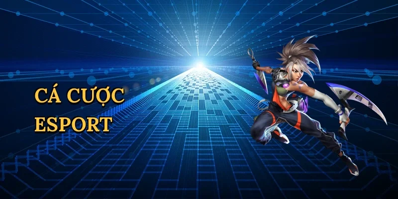 Cá cược esport
