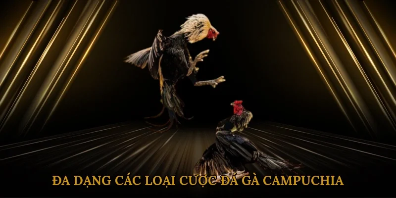 da-dang-cac-loai-cuoc-da-ga-campuchia-3
