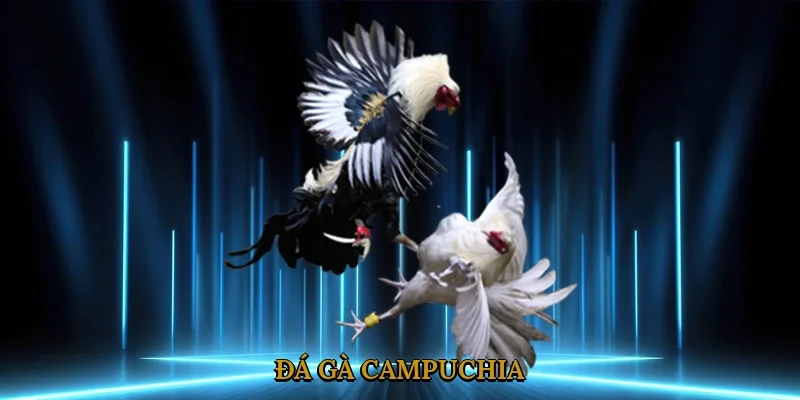 da-ga-campuchia-4