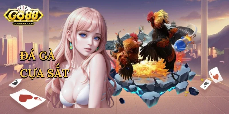 Đá gà cựa sắt