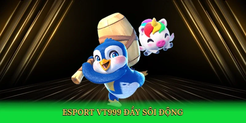 Esport VT999 đầy sôi động