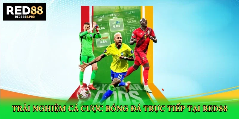 trai-nghiem-ca-cuoc-bong-da-truc-tiep-tai-red88-3