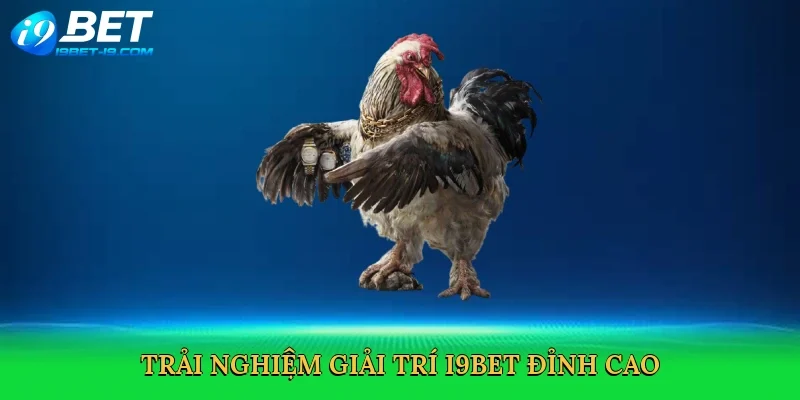 Trải nghiệm giải trí i9bet đỉnh cao