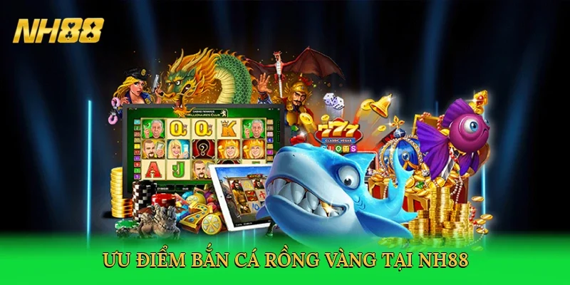 uu-diem-ban-ca-rong-vang-tai-nh88-3