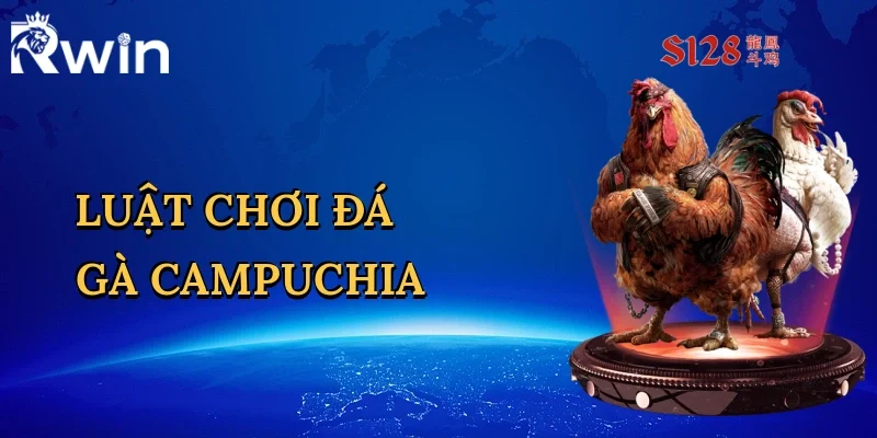 Luật Chơi Đá Gà Campuchia