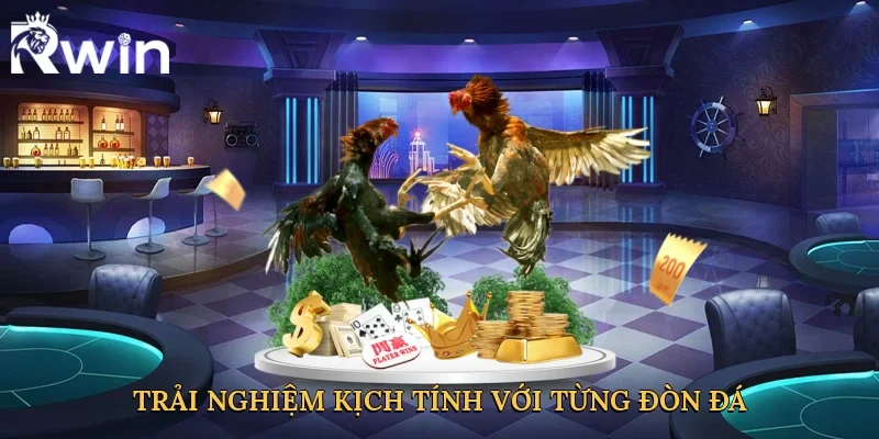 Trải nghiệm kịch tính với từng đòn đá